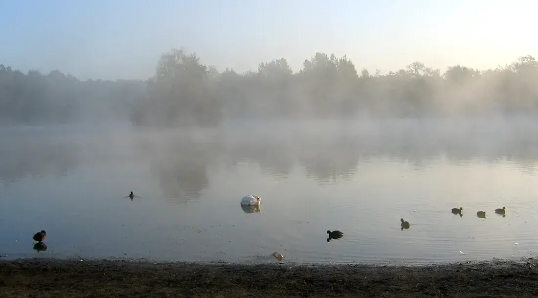 Der Rotbachsee in Dinslaken-Hiesfeld (Aufnahmejahr 2004)